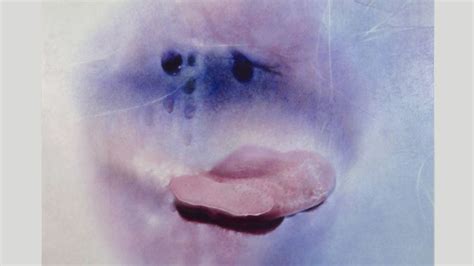 dirty grannies|Sex positivity after 70: Marilyn Minter’s sensual photographs of .